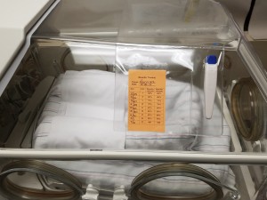 NeoPockets with schedule and thermometer