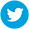 Twitter icon 29x29 circle